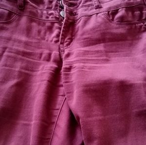Pants maroon color